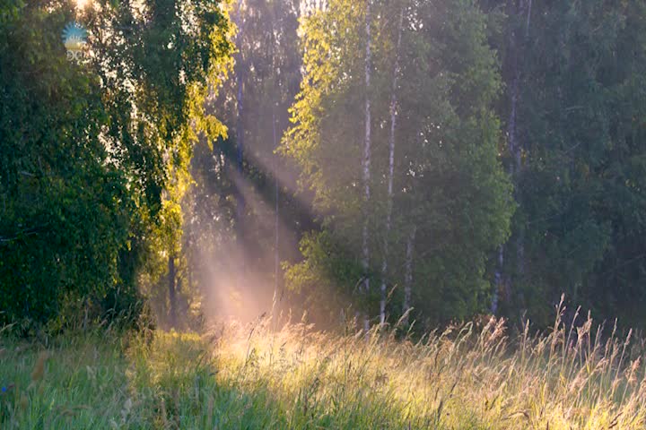 Thumbnail image for Inner Devotional