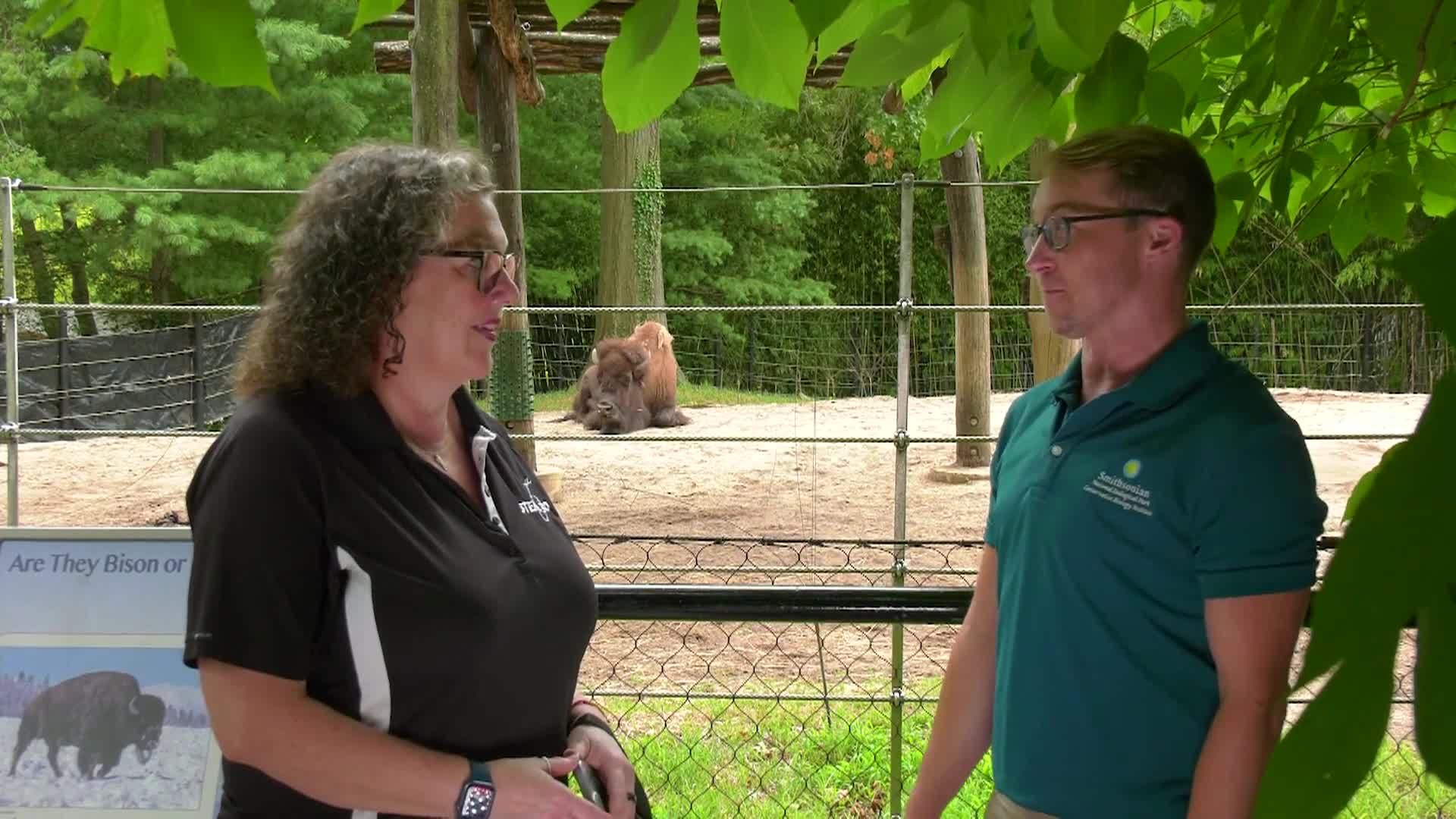 Thumbnail image for STEM in 30