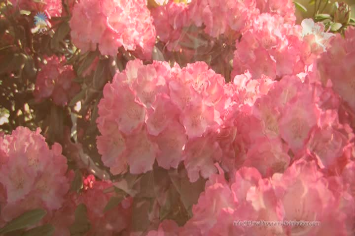 Thumbnail image for A Question of Ethics