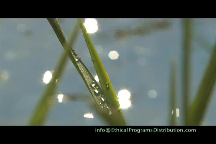 Thumbnail image for A Question of Ethics