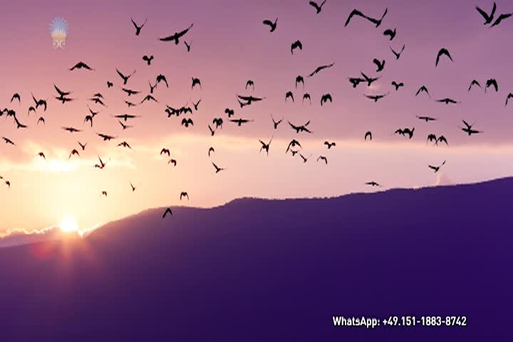 A Question of Ethics