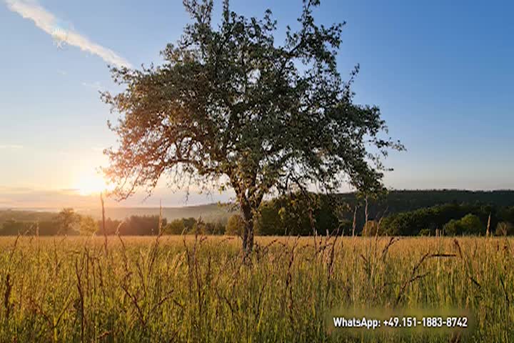 Thumbnail image for A Question of Ethics