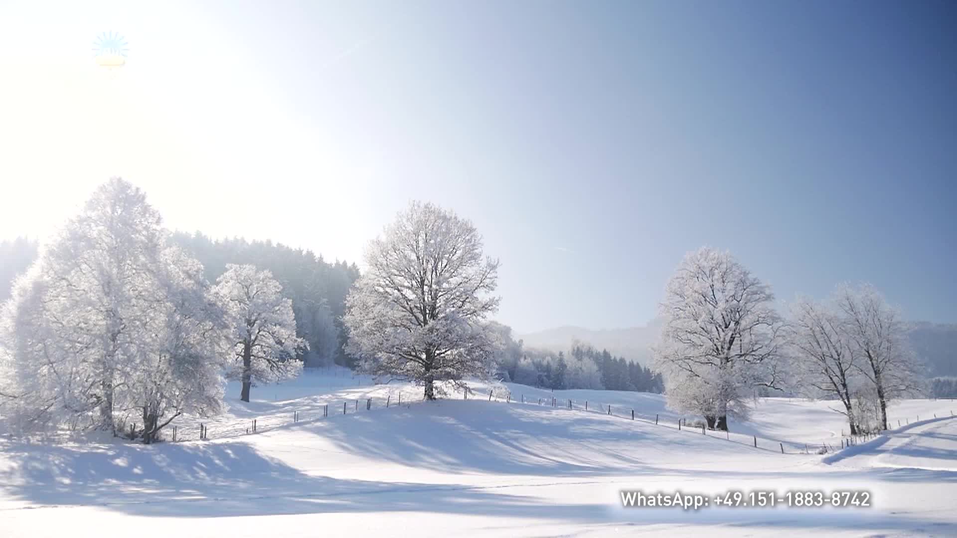 Thumbnail image for A Question of Ethics