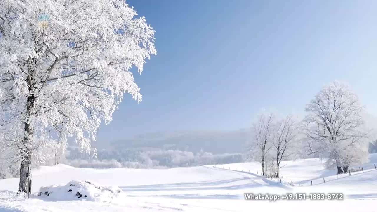 Thumbnail image for A Question of Ethics