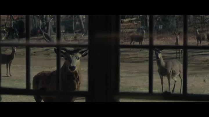 Thumbnail image for Reeling: The Movie Review Show