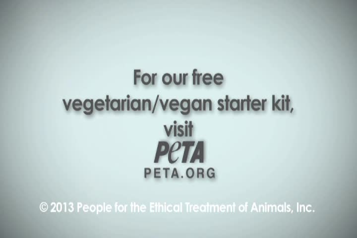 Thumbnail image for Action for Animals
